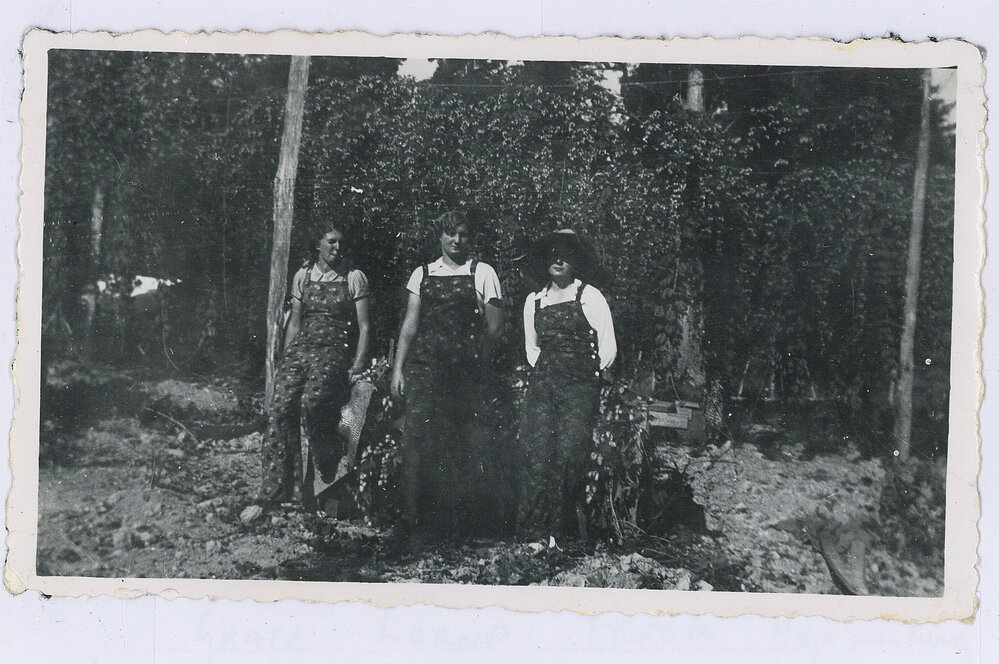 Grace, Lorna and Freda Hop picking, 1920s