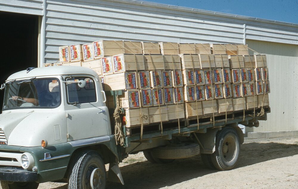 Apples boxes on truck, c1955