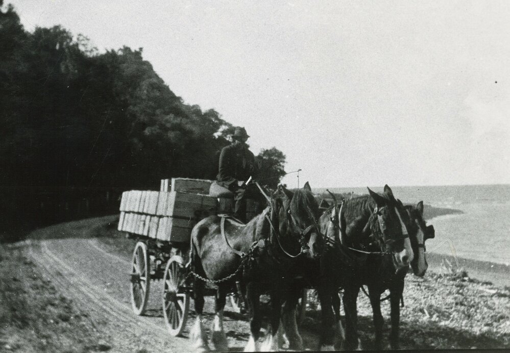 Carting to Māpua 