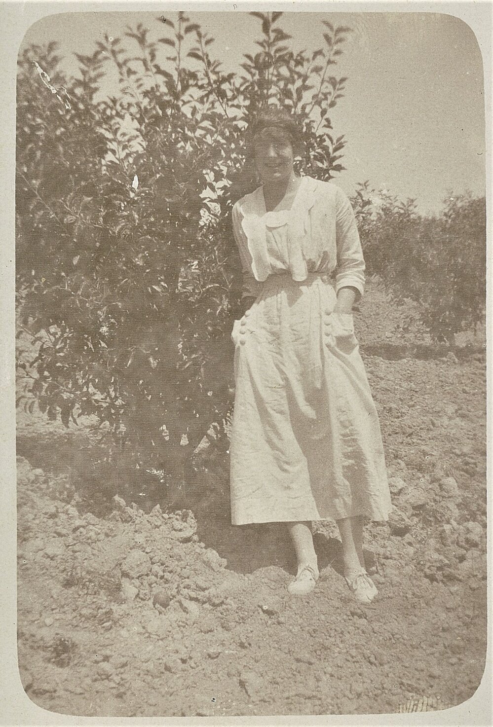 Bay, Bluff's Orchard