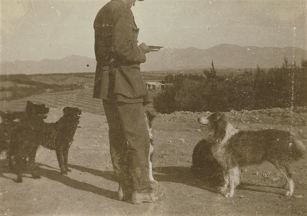 Man with plate and dogs, orchard in the background