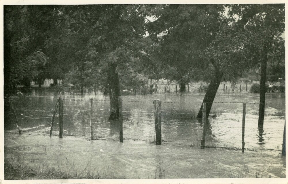 Flooded paddock Queen Street Richmond