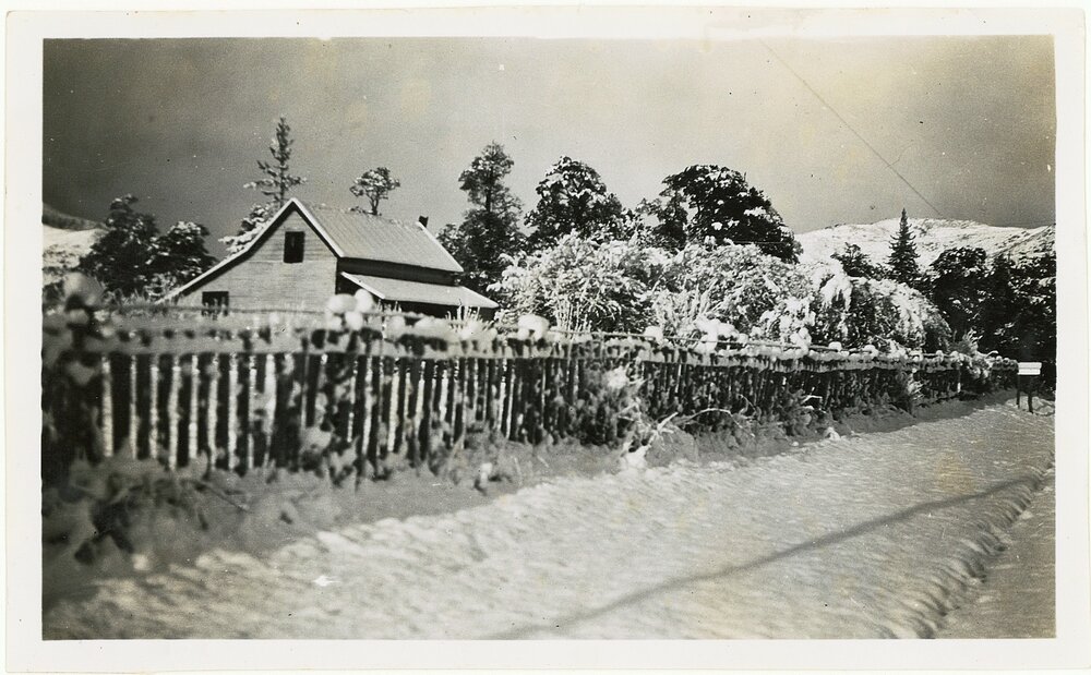 The Wells Home in the snow