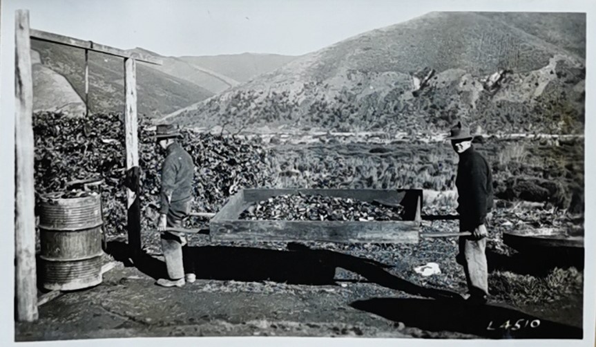 Two men carrying charcoal in a wooden carrier 