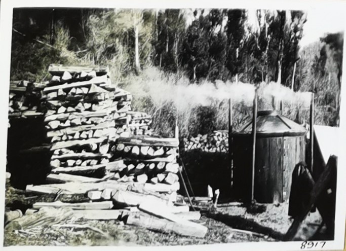 Charcoal kiln with woodstacks