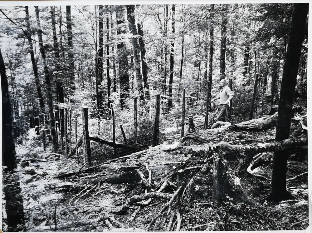 Deer proof fence at Rainy River 