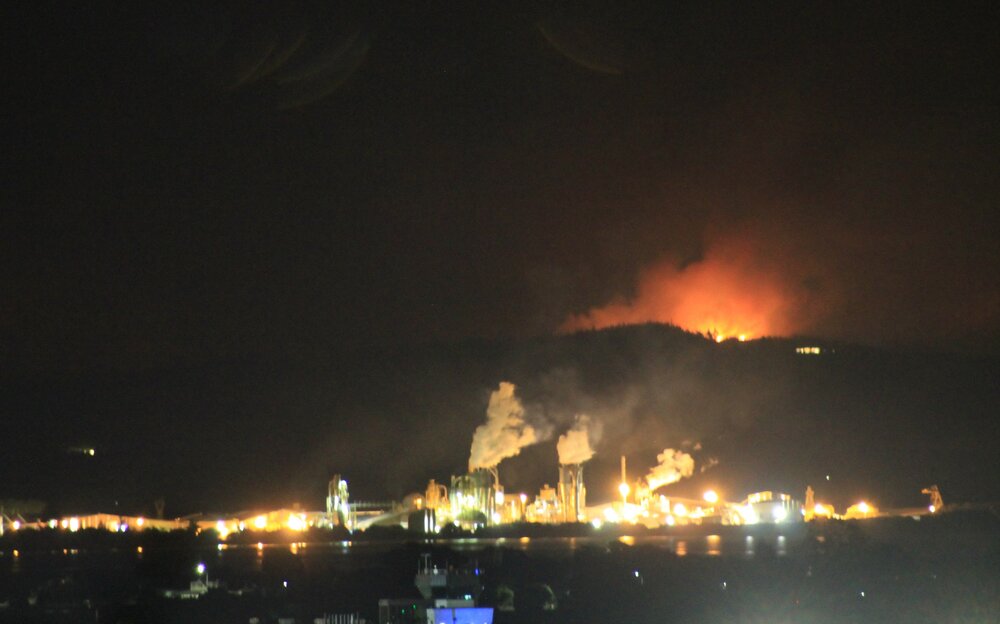 Fire in the hills behind Nelson Pine Industries MDF plant 7 February 2019