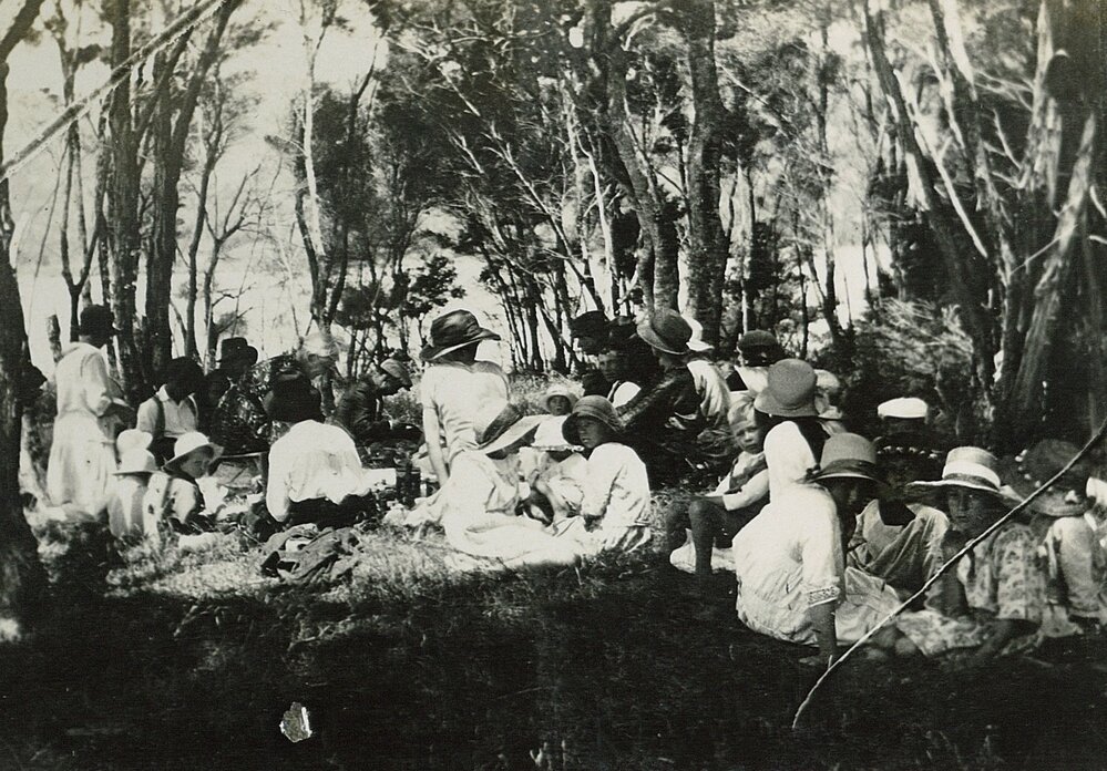 A picnic on the point at Wainui