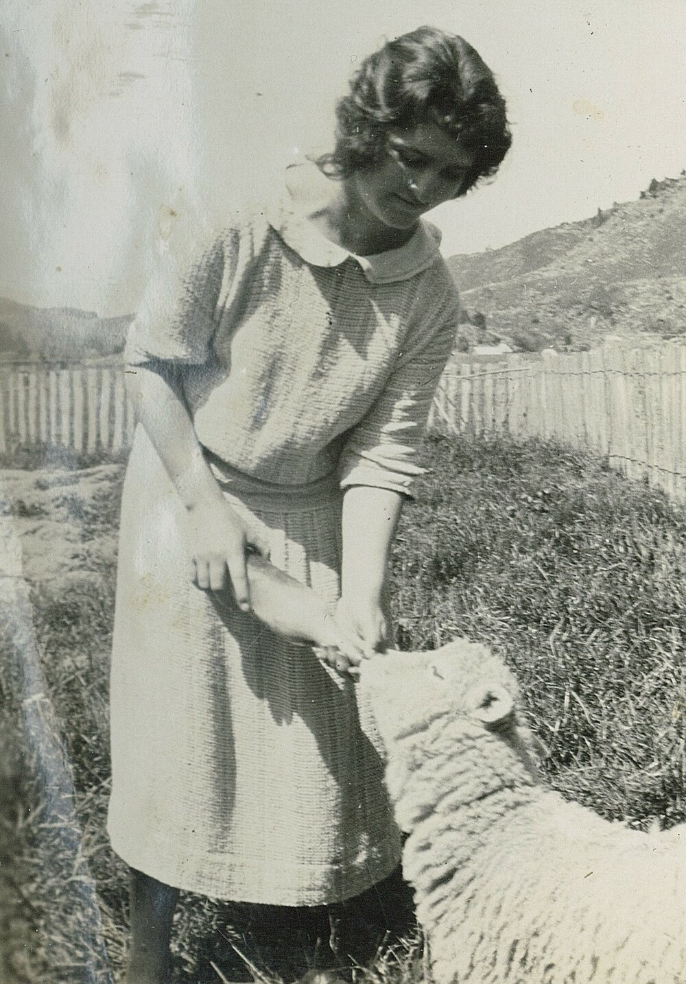 Bottle feeding a lamb