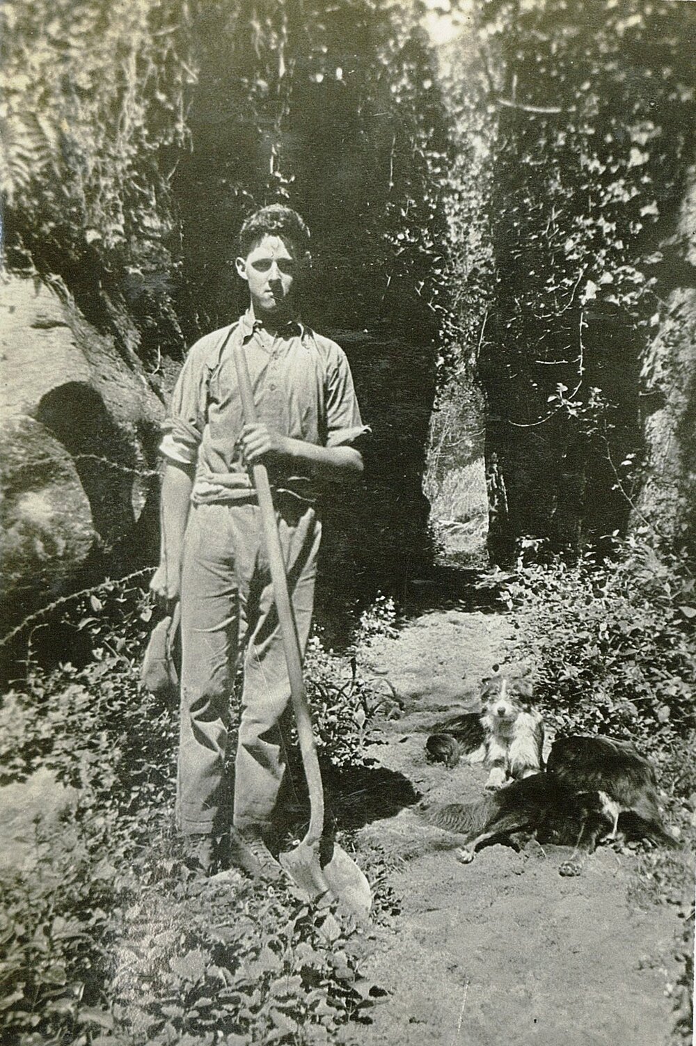 Greg with shovel and dogs 