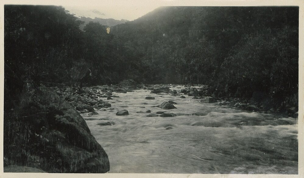 Nature from the hills river in Golden Bay / Mohua