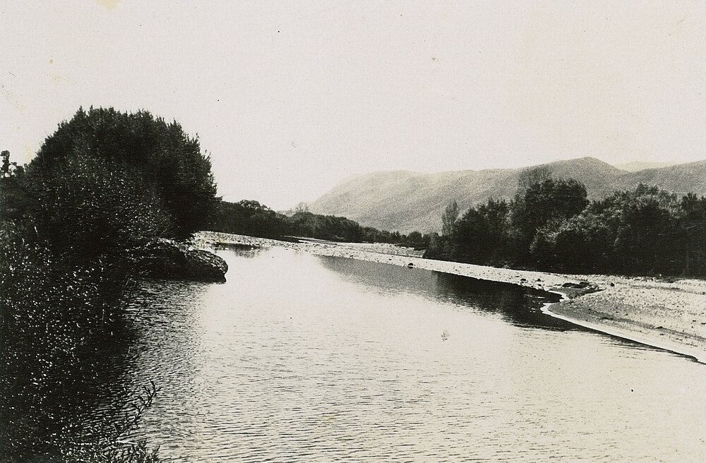 Springtime at Cocky's Mistake