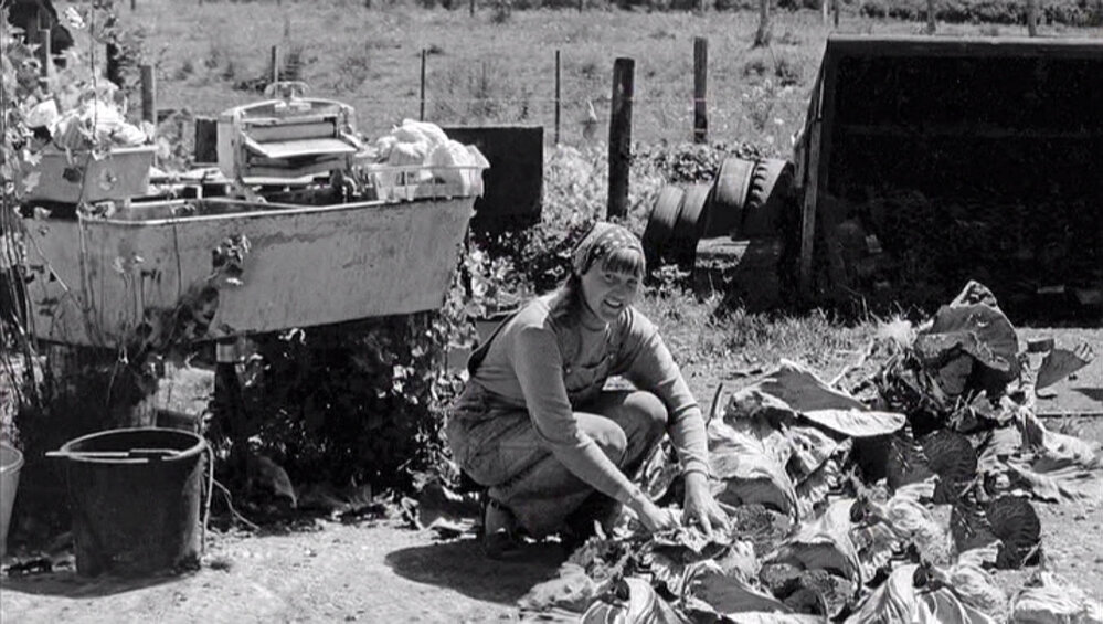 Leaves and laundry at Rainbow Valley