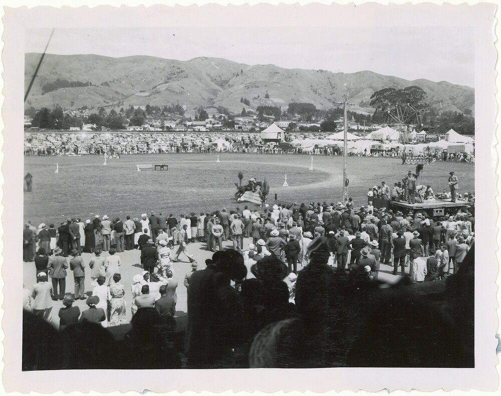 The A &amp; P Show horse jump