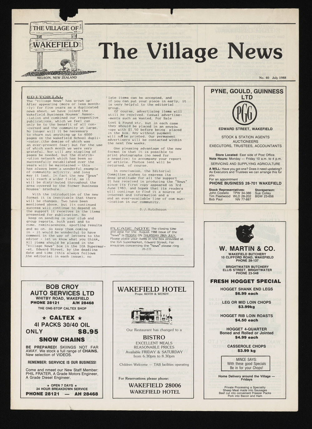 Village News 1988 July