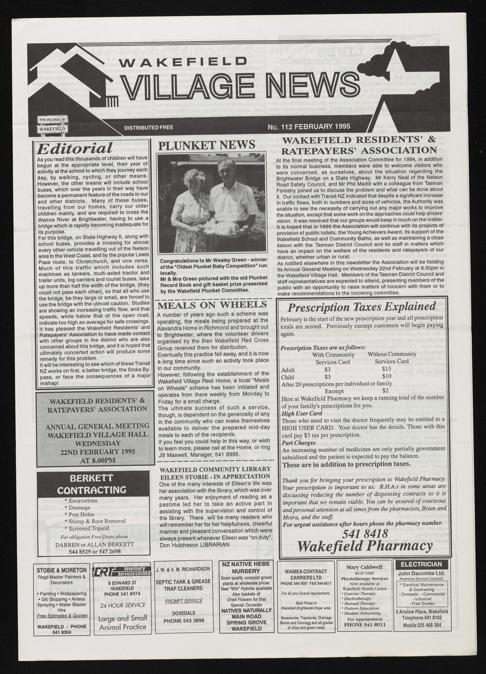 Village News 1995 February
