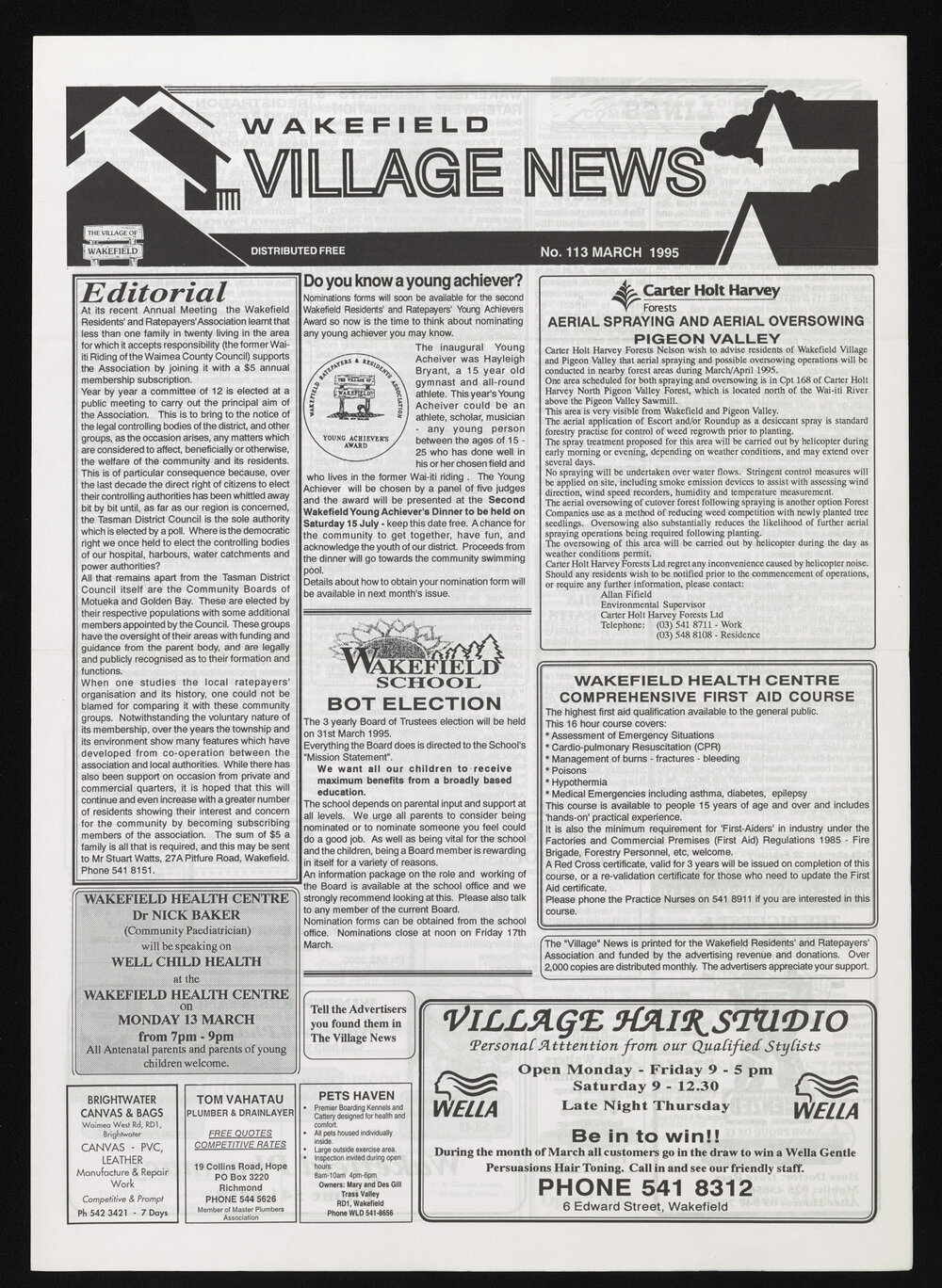 Village News 1995 March