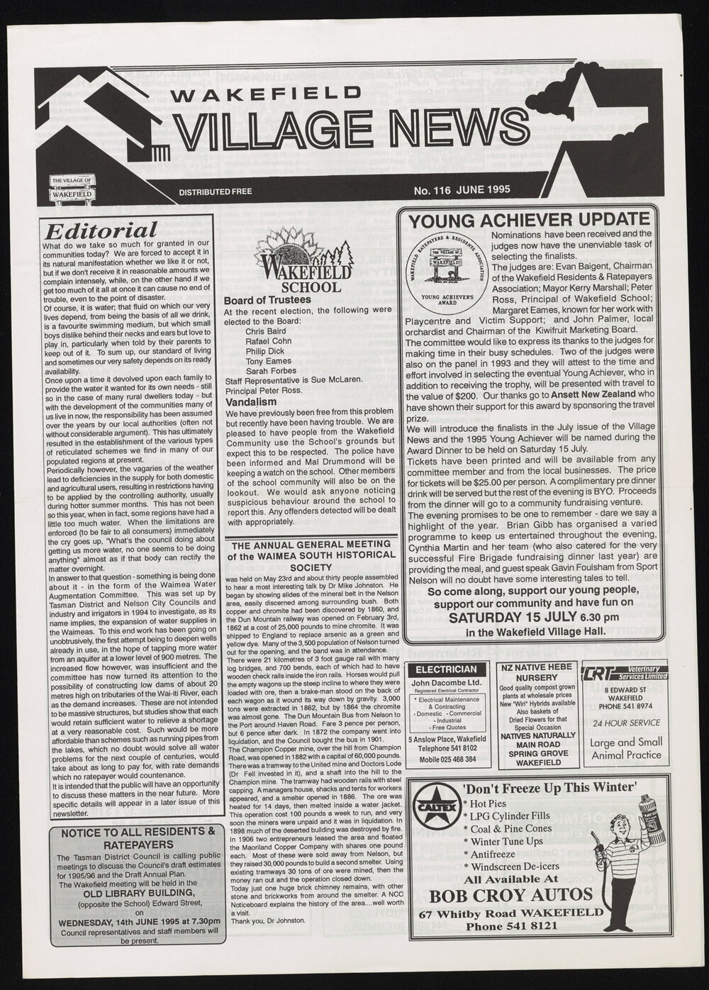 Village News 1995 June