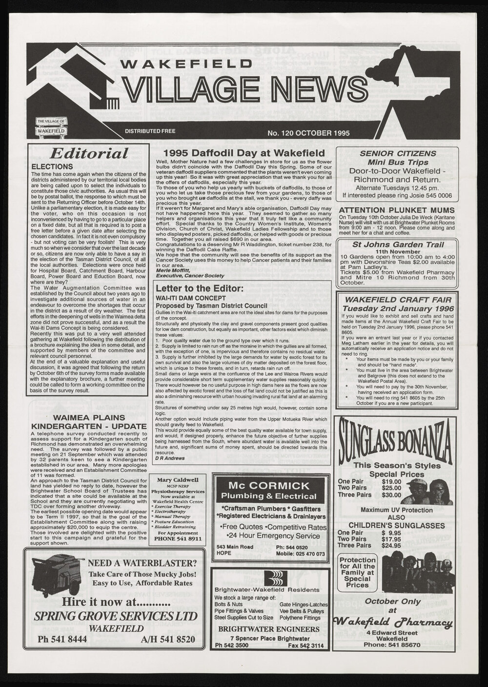 Village News 1995 October