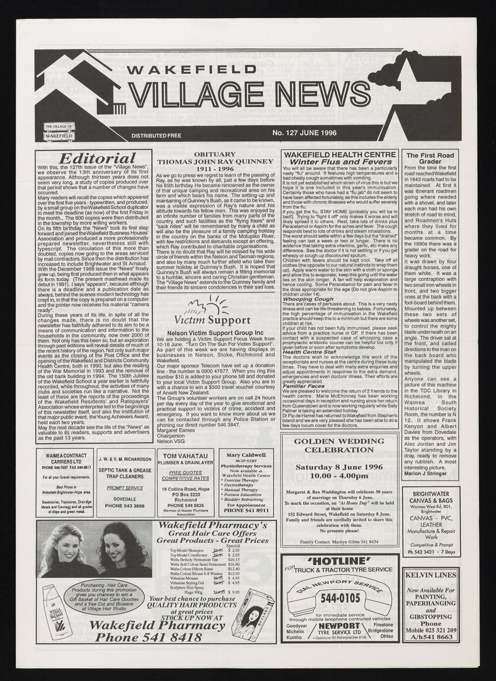 Village News 1996 June