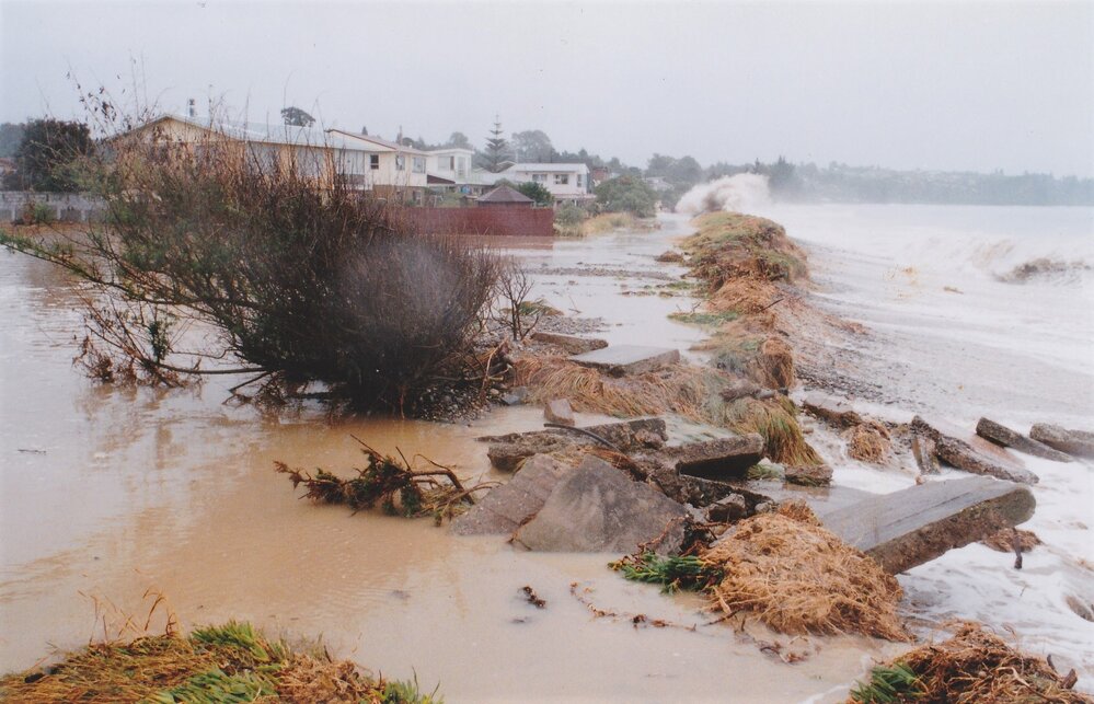 The beach front at Te Mamaku / Ruby Bay 1997