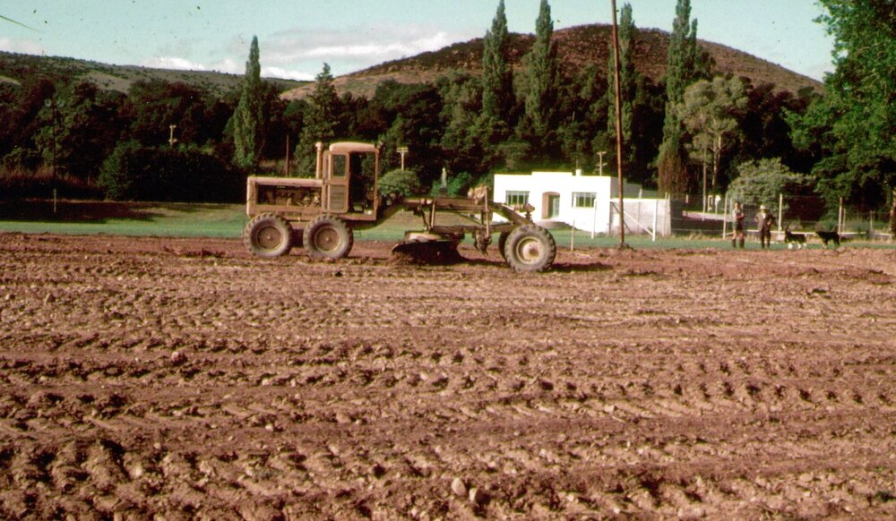 Wakefield Domain earthworks