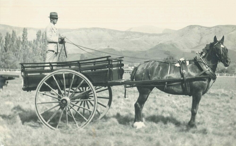 Man standing on the back of a horse drawn cart