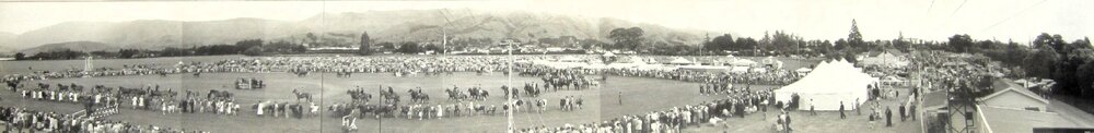 Panoramic of the Nelson A &amp; P show 1952