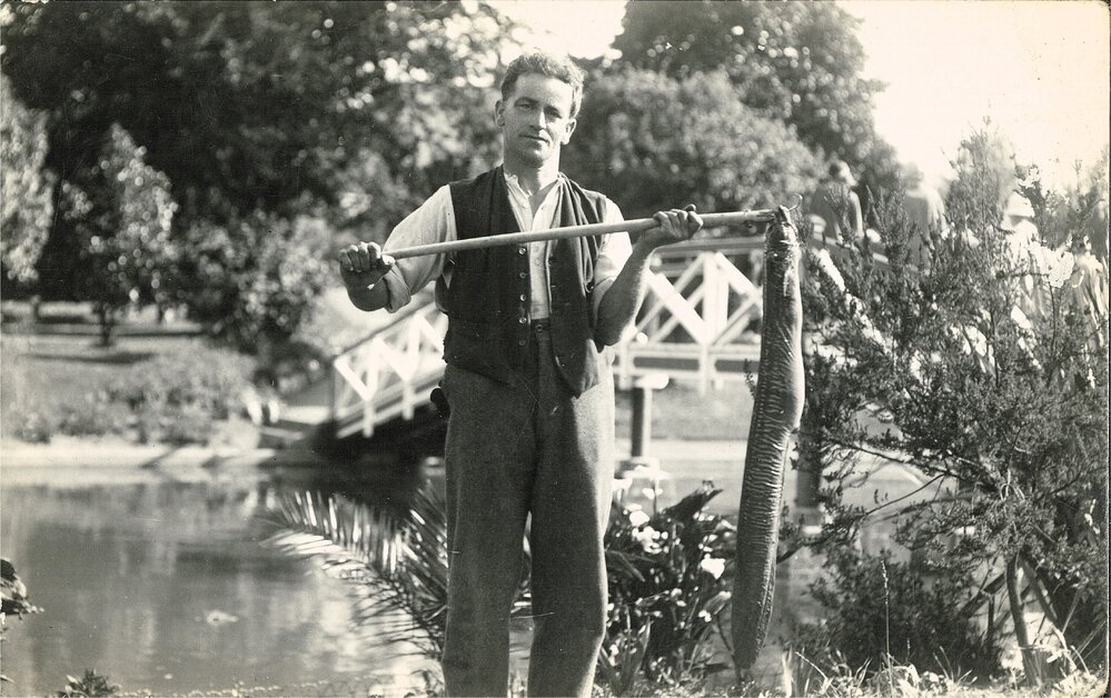 Man with eel at Nelson's Queen's Gardens