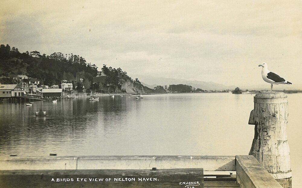 Bird's eye view of Nelson Haven