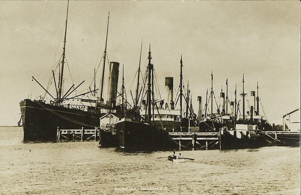 Ships in Nelson 