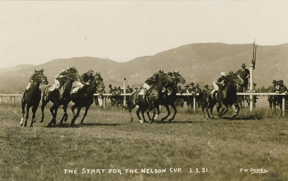 Horse race at Richmond Park