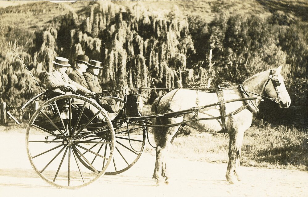 Horse and gig with three men