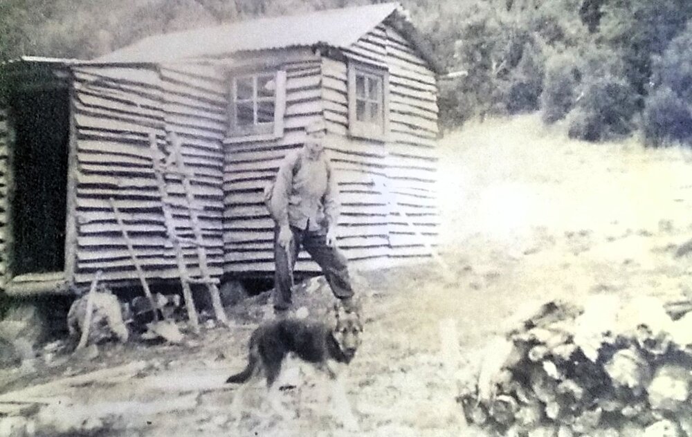 McBurney's Hut Cobb Valley