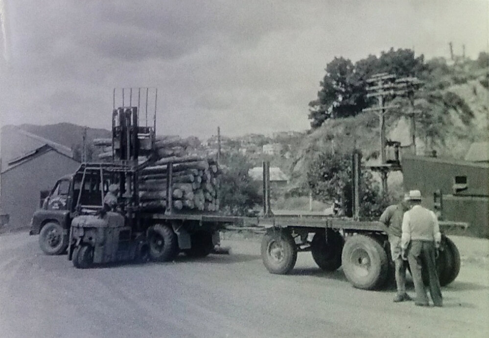 Logs for export to Japan at Port Nelson