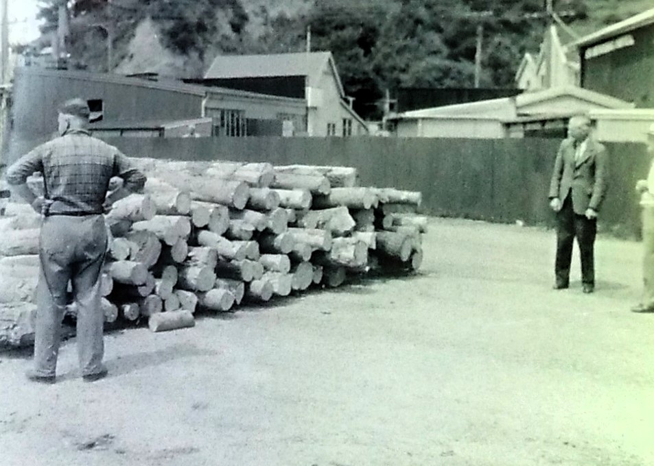 Pile of logs being exported to japan