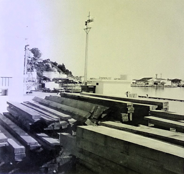 Red beech for Tauranga Harbour