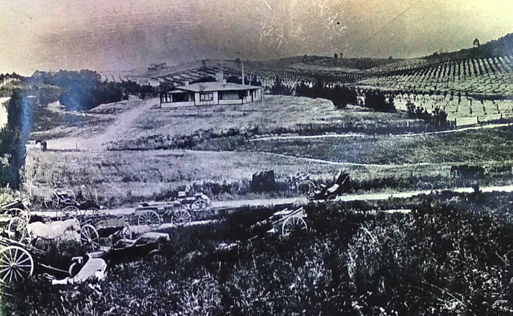 Mr McKee's house The Bluff Moutere 1916