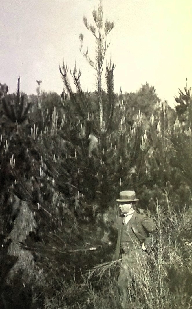 Man in front of tree