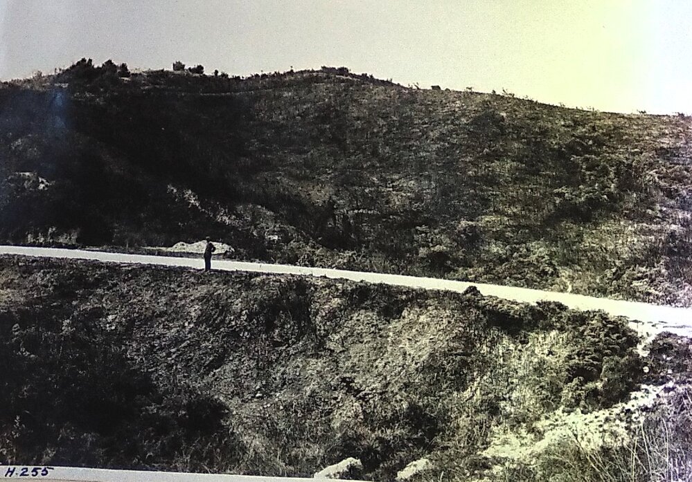 Moutere Hills plantation 