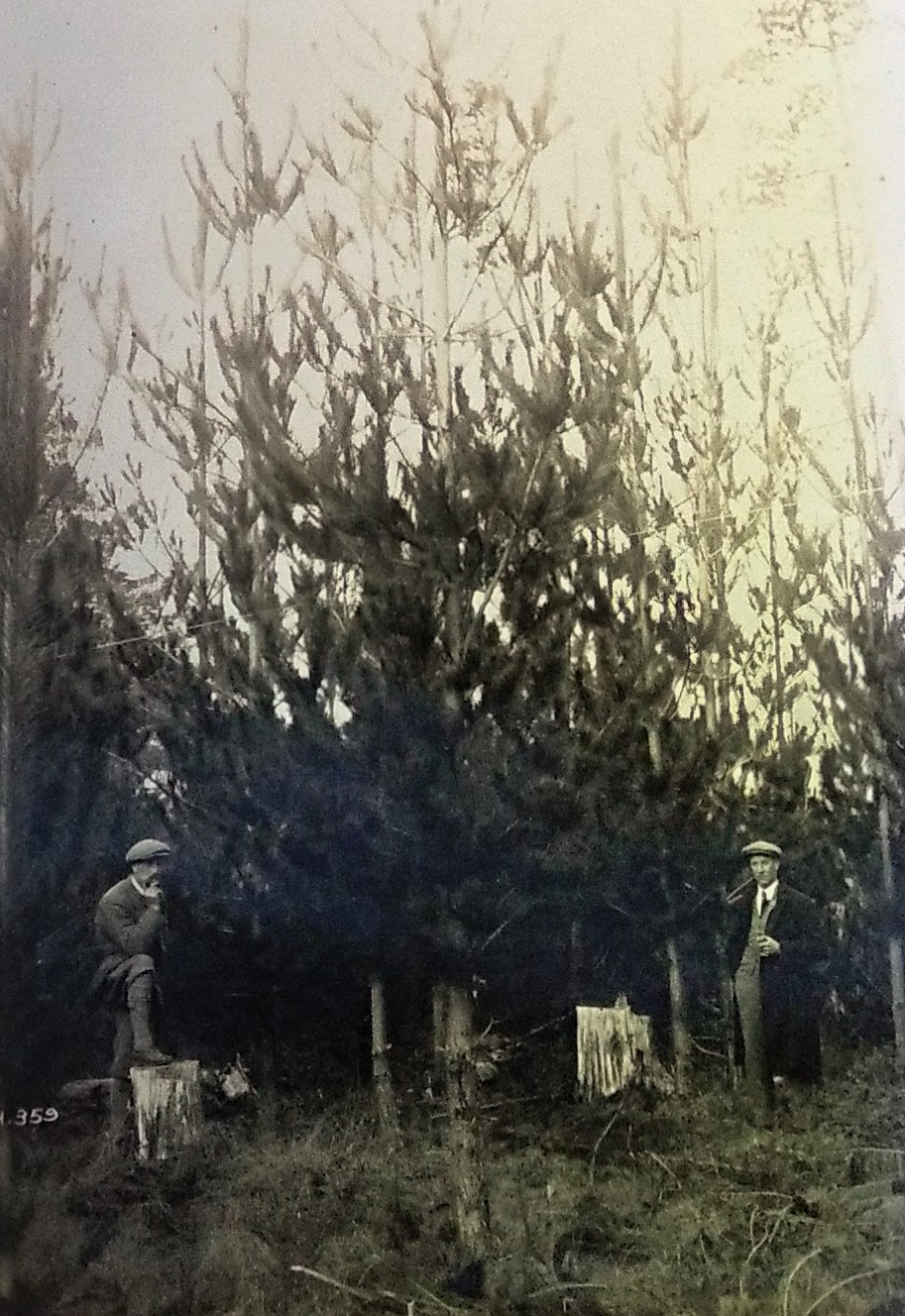 Two men posing in the forest