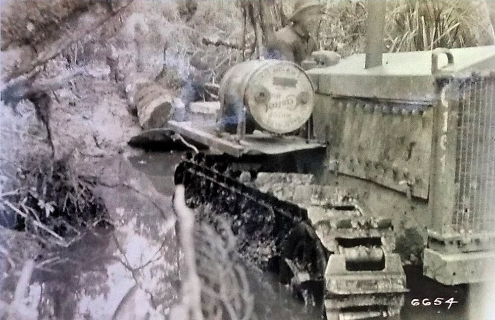 Tractor logging Buller County