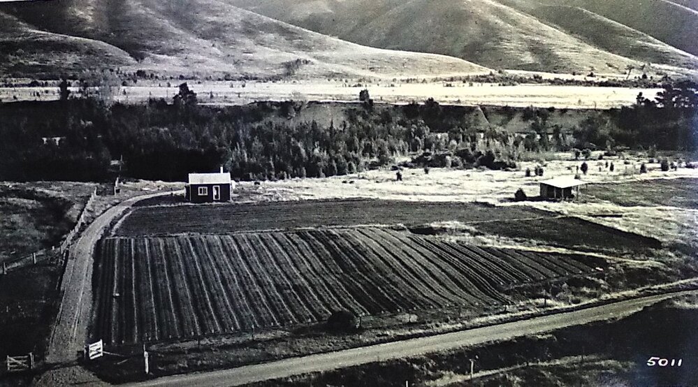 Kikiwa Nursery Motupiko Valley