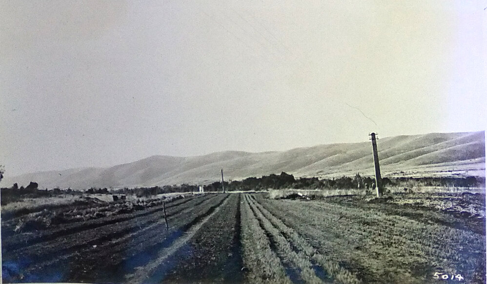 Nursery at Golden Downs