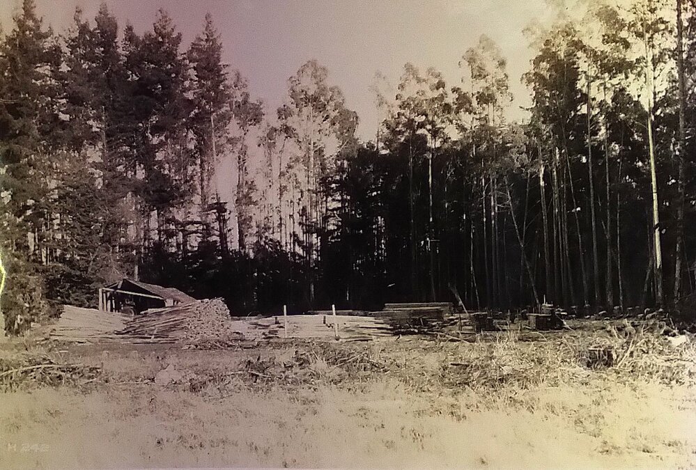 Mill in Hillersden Plantation