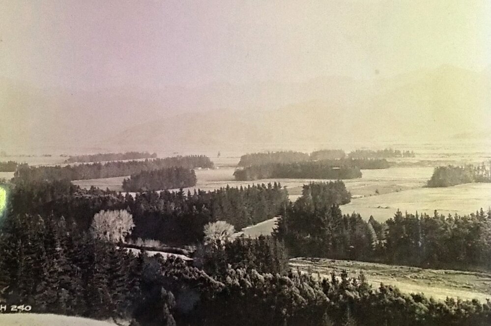 Wairau Valley from behind Hillersden Plantation