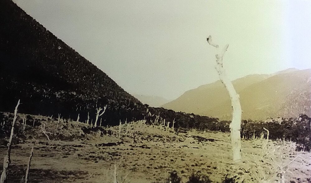 From Lewis Saddle looking South down Lewis Valley Canterbury