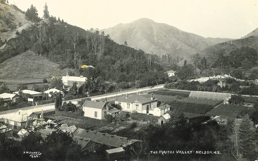 Homes, gardens and glasshouses in the Maitai Valley Nelson