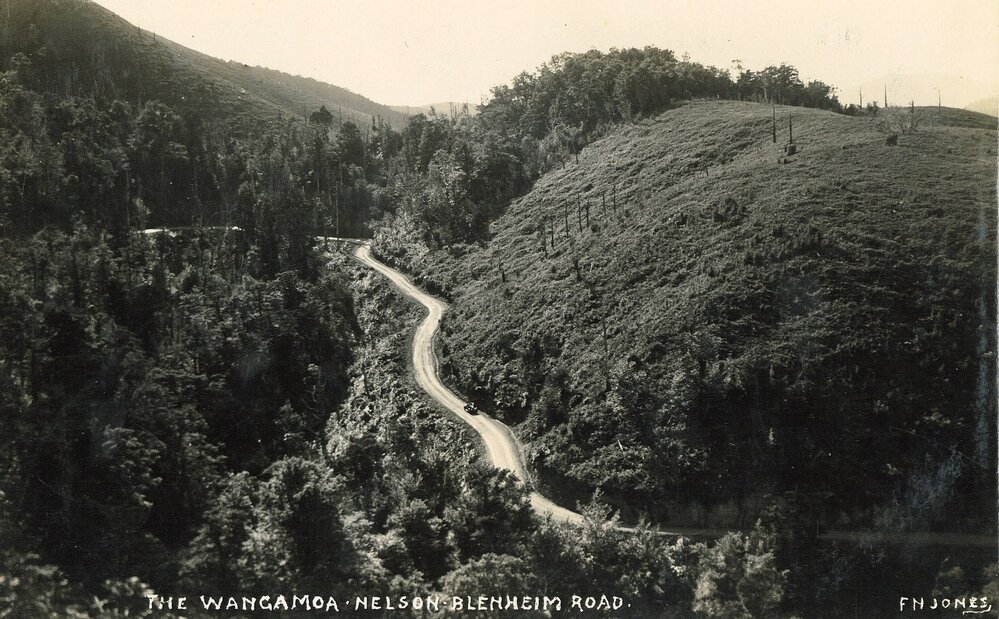 The Whangamoa Road