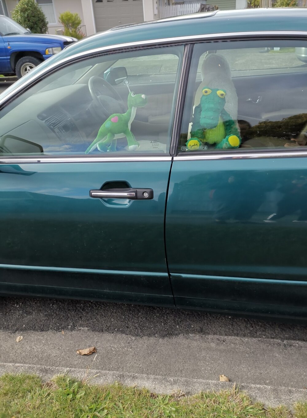 The Covid lockdown Great NZ Bear Hunt